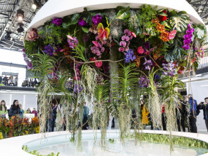 Výstaviště Flora po dvou letech ožilo jarní výstavou