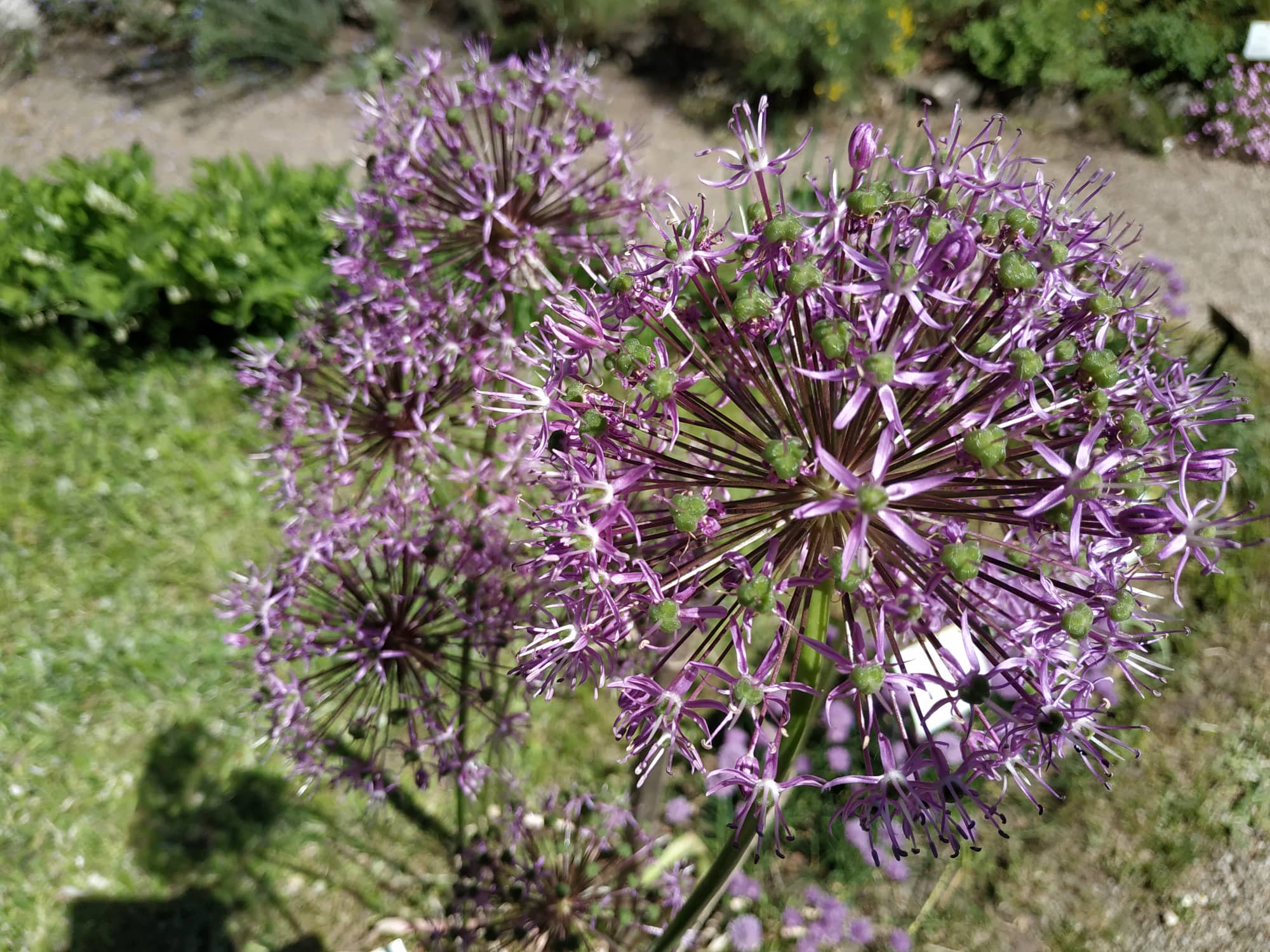 FOTOGALERIE: Botanická zahrada Petra Albrechta v Prostějově