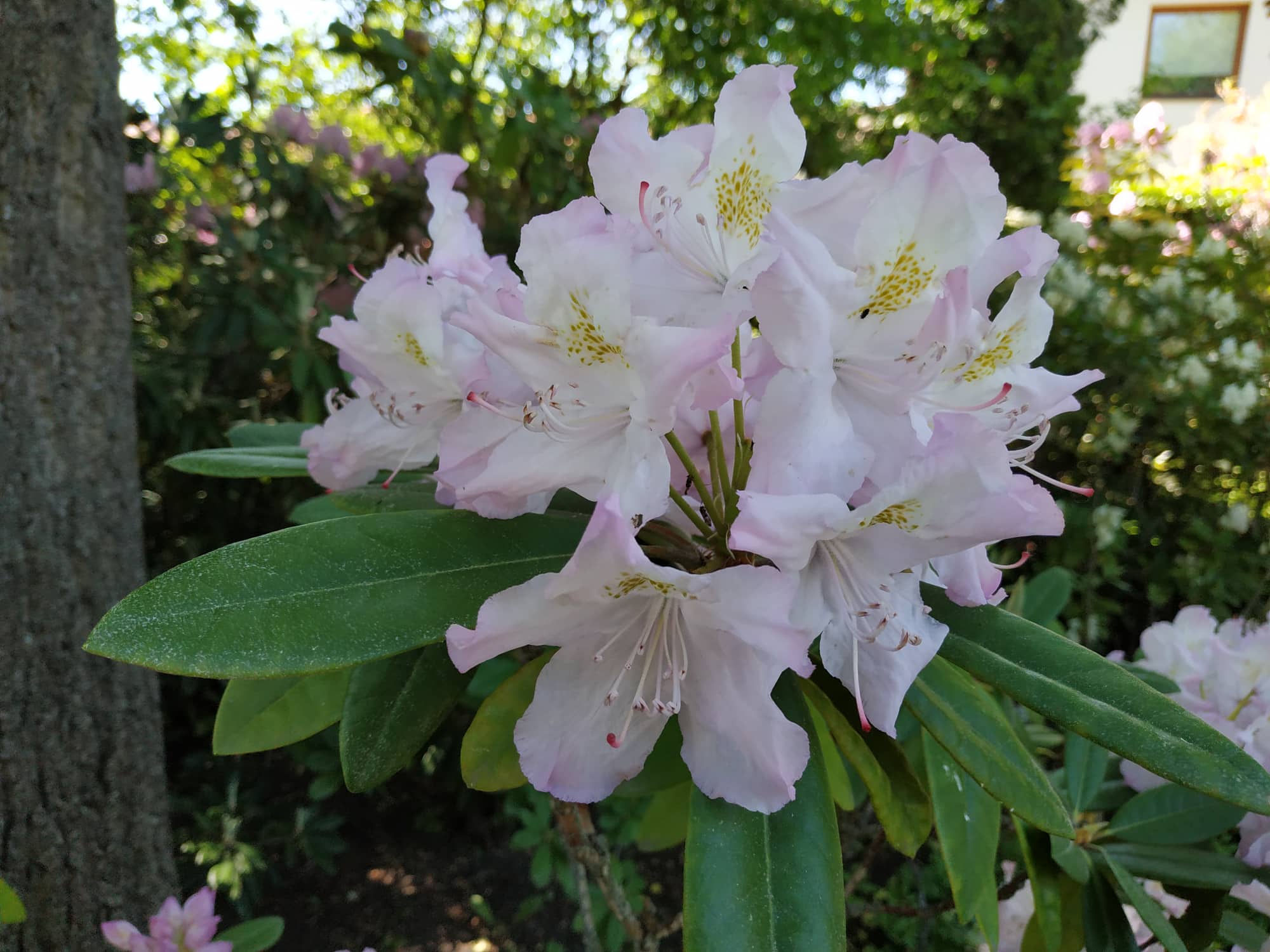FOTOGALERIE: Botanická zahrada Petra Albrechta v Prostějově