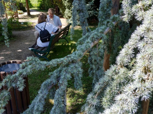 FOTOGALERIE: Botanická zahrada Petra Albrechta v Prostějově