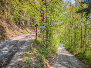FOTOGALERIE: Malý Rabštýn