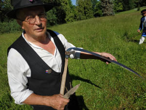 FOTOGALERIE: Zámecky sečeni lóke v Čechách pod Kosířem