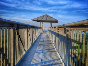 FOTOGALERIE: Rozhledna Hraniční vrch