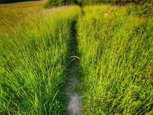 FOTOGALERIE: Rozhledna Hraniční vrch