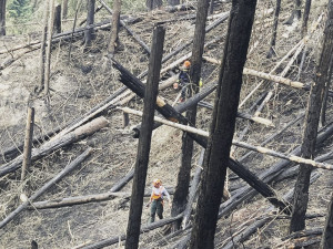 Hasiči z Olomouckého kraje bojují s požárem v Českém Švýcarsku