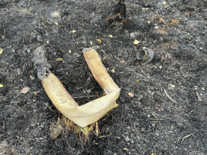 Hasiči z Olomouckého kraje bojují s požárem v Českém Švýcarsku