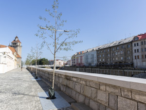 Břehy Moravy nedaleko centra Olomouce dostávají novou podobu