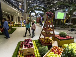 FOTOGALERIE: Podzimní etapa Flory oslavuje úrodu i přínos vědy