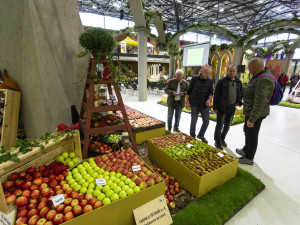 FOTOGALERIE: Podzimní etapa Flory oslavuje úrodu i přínos vědy