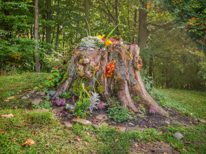 FOTOGALERIE: Svatý Hostýn na podzim