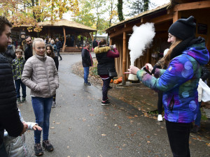 FOTOGALERIE: Strašidelnou Zoo si na Svatém Kopečku užily tisíce lidí