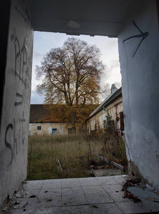 FOTOGALERIE: Opuštěný zámek ve Ptení má nového majitele