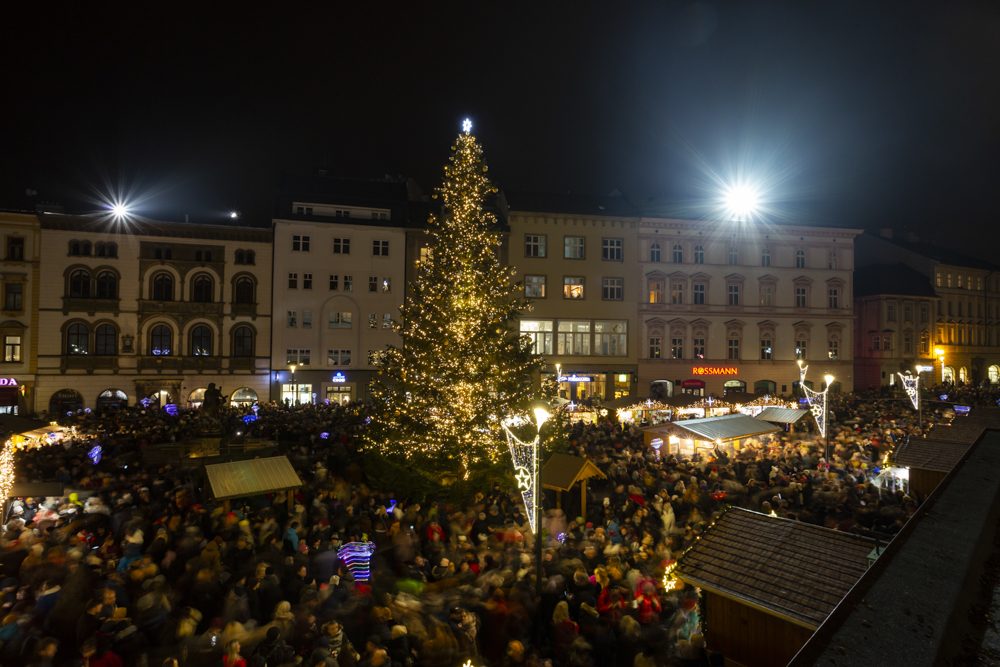 FOTOGALERIE: Strom z Hluboček dostal jméno Perníček. V Olomouci začaly vánoční trhy