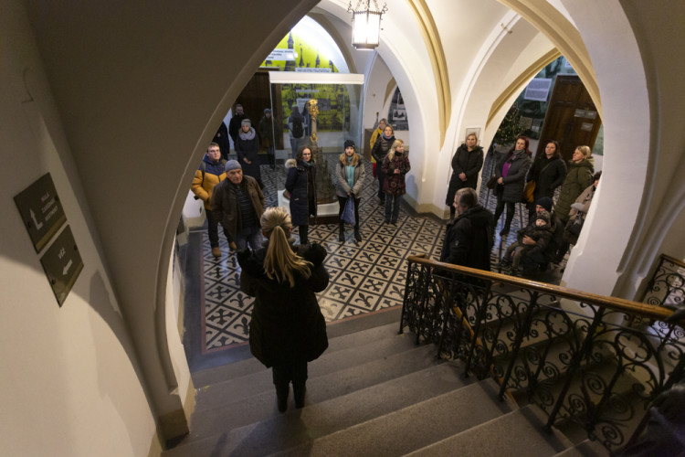 FOTOGALERIE: Radniční věž i vyhlídkové kolo. Vánoční trhy v Olomouci lákají i na pohled z výšky