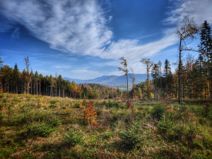 FOTOGALERIE: Velký Javorník v létě i v zimě