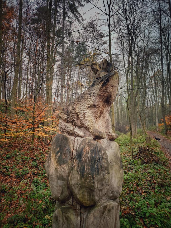 FOTOGALERIE: Okruh okolo Šumperka plný zajímavých míst