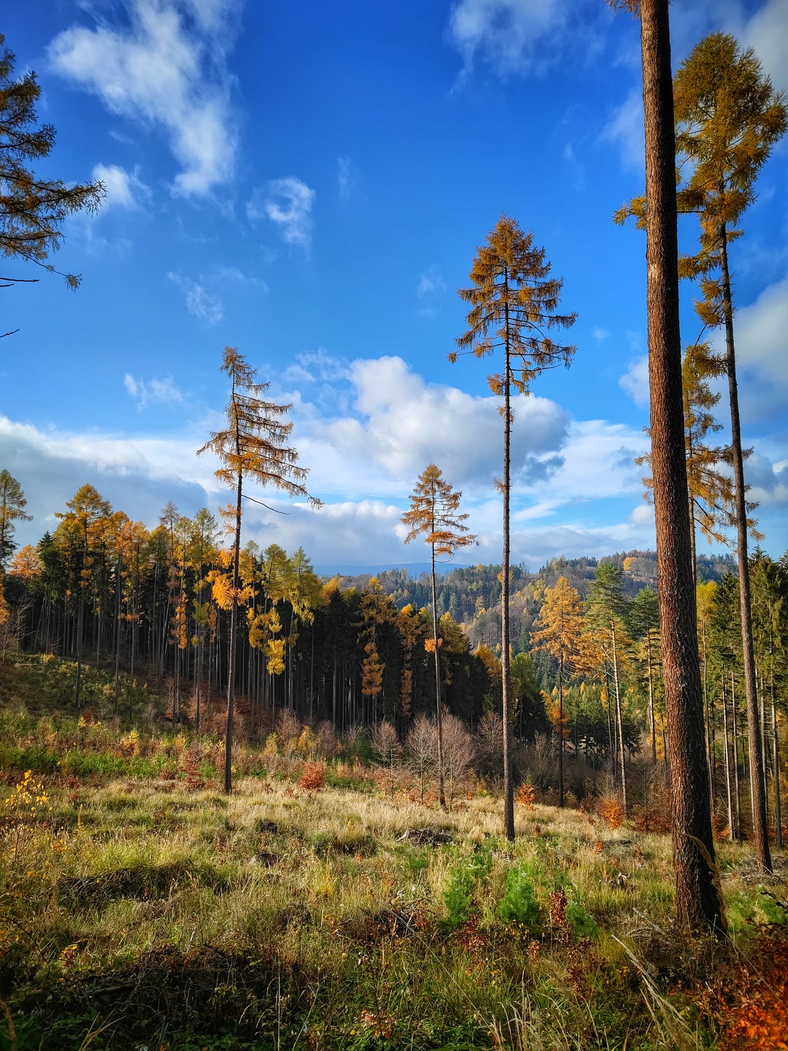 FOTOGALERIE: Okruh okolo Šumperka plný zajímavých míst