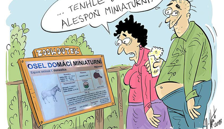 VTIPY: První v únoru středa, humoru a legrace je třeba