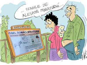 VTIPY: První v únoru středa, humoru a legrace je třeba