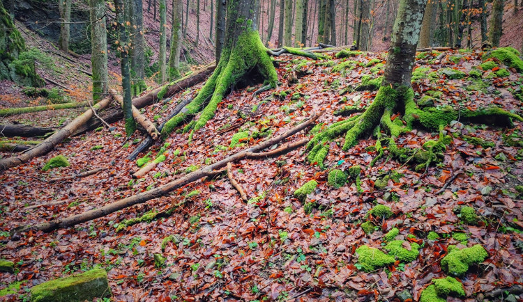 FOTOGALERIE: Čtrnáctikilometrový okruh okolo Macochy plný překvapení