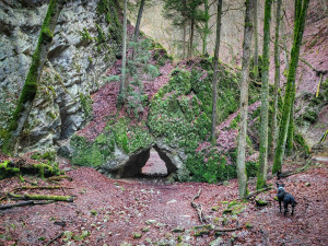 FOTOGALERIE: Čtrnáctikilometrový okruh okolo Macochy plný překvapení