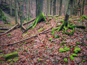 FOTOGALERIE: Čtrnáctikilometrový okruh okolo Macochy plný překvapení