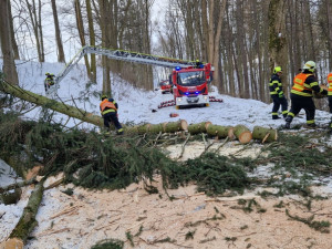 FOTOGALERIE: Silný vítr zaměstnal hasiče v kraji, od noci jsou v plném zápřahu