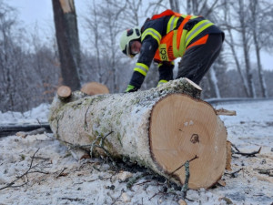 FOTOGALERIE: Silný vítr zaměstnal hasiče v kraji, od noci jsou v plném zápřahu
