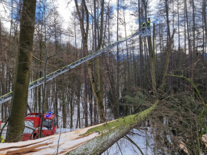 FOTOGALERIE: Silný vítr zaměstnal hasiče v kraji, od noci jsou v plném zápřahu