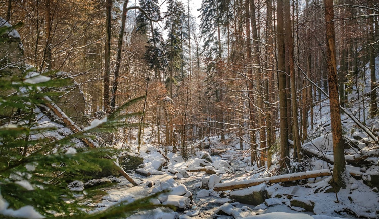 FOTOGALERIE: Procházka okolo zasněžených Rešovských vodopádů