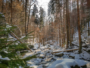 FOTOGALERIE: Procházka okolo zasněžených Rešovských vodopádů