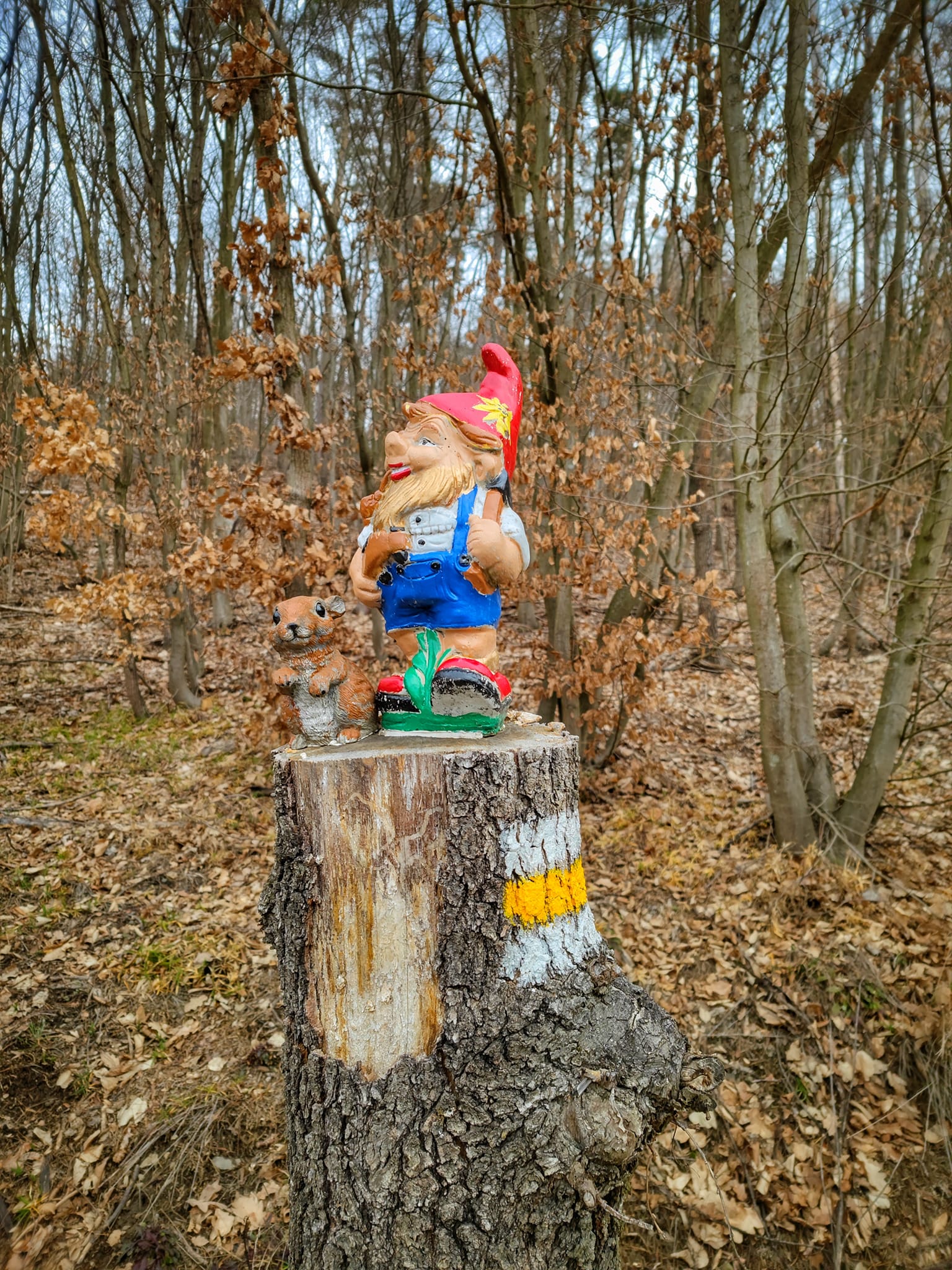 FOTOGALERIE: