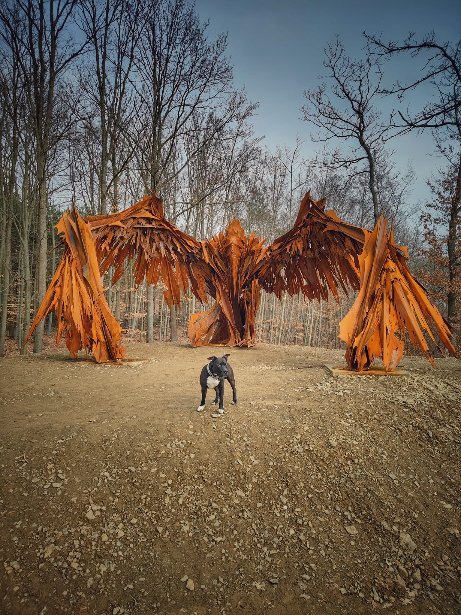 FOTOGALERIE: