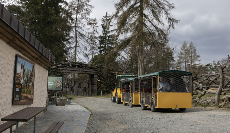 FOTOGALERIE: Olomoucká zoo výrazně rozšířila svou safari zónu