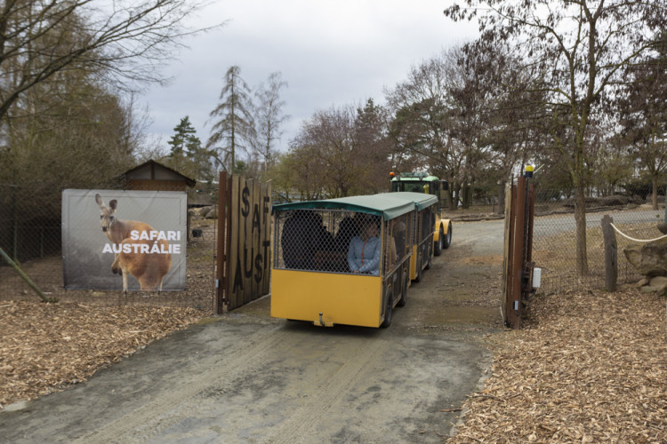 FOTOGALERIE: Olomoucká zoo výrazně rozšířila svou safari zónu