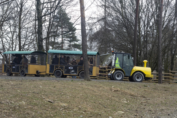 FOTOGALERIE: Olomoucká zoo výrazně rozšířila svou safari zónu