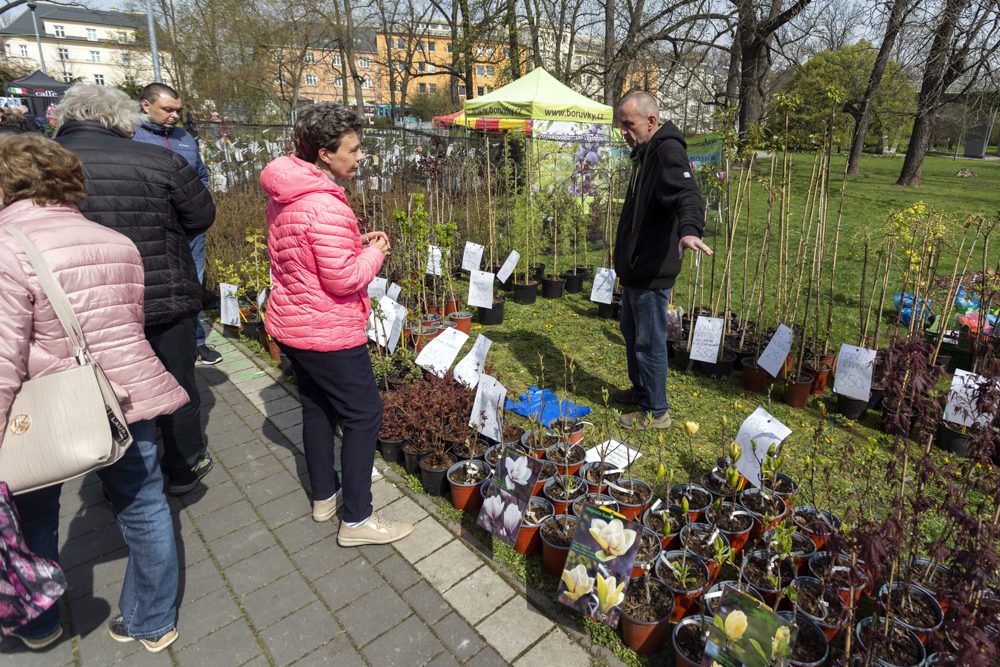 FOTOGALERIE: Jarní Flora nese podtitul Království barev, láká na trhy i bonsaje