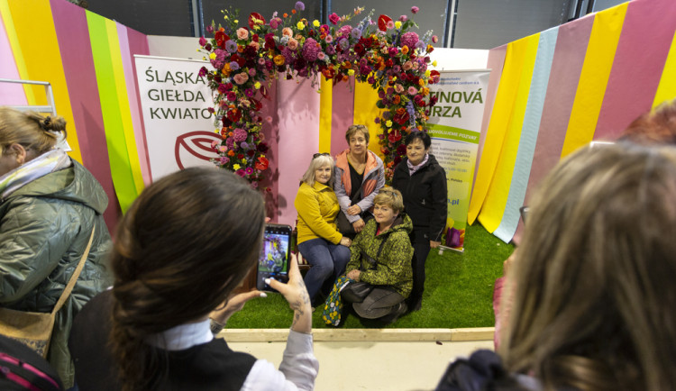 FOTOGALERIE: Jarní Flora nese podtitul Království barev, láká na trhy i bonsaje