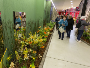 FOTOGALERIE: Jarní Flora nese podtitul Království barev, láká na trhy i bonsaje