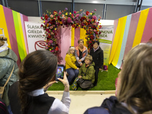 FOTOGALERIE: Jarní Flora nese podtitul Království barev, láká na trhy i bonsaje