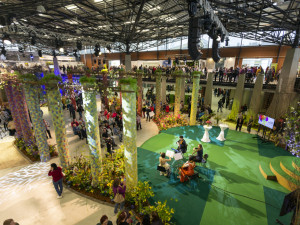 FOTOGALERIE: Jarní Flora nese podtitul Království barev, láká na trhy i bonsaje