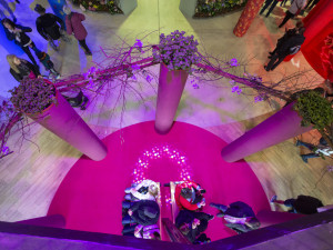 FOTOGALERIE: Jarní Flora nese podtitul Království barev, láká na trhy i bonsaje