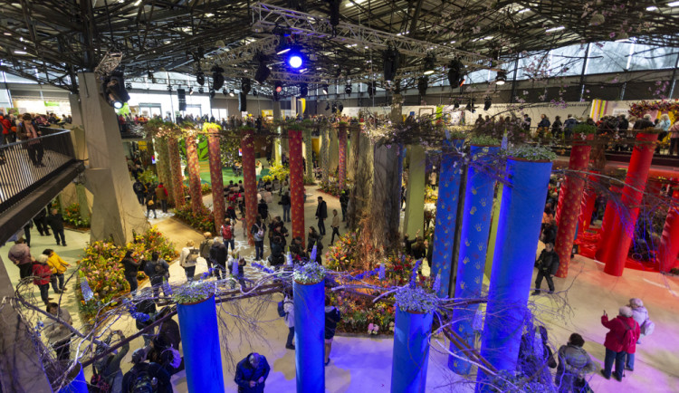 FOTOGALERIE: Jarní Flora nese podtitul Království barev, láká na trhy i bonsaje