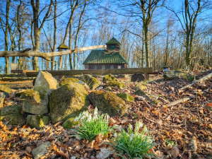 FOTOGALERIE: Cimburk a nenáročný okruh lesem plný zajímavých míst