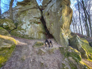 FOTOGALERIE: Cimburk a nenáročný okruh lesem plný zajímavých míst