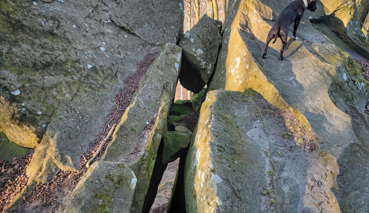 FOTOGALERIE: Cimburk a nenáročný okruh lesem plný zajímavých míst