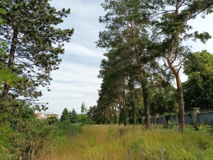 FOTOGALERIE: Jezdecká kasárna v Prostějově