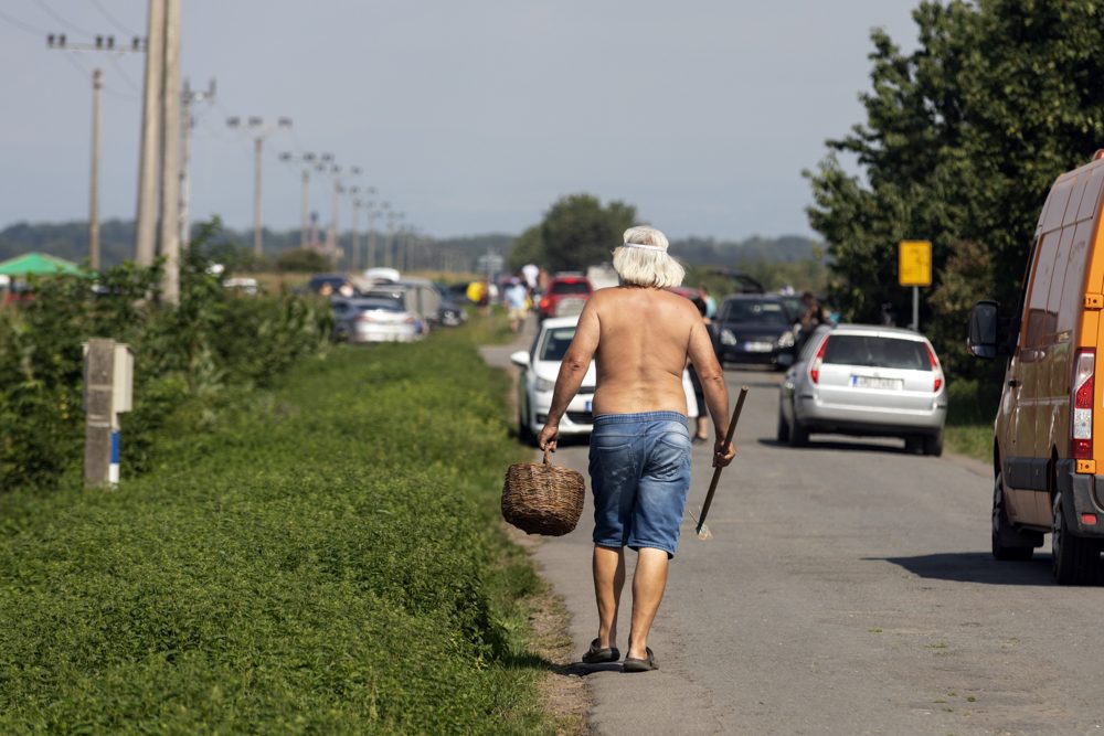 FOTOGALERIE: Samosběr ve Vojnicích lákal davy. Dopravu musela řídit policie
