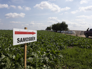 FOTOGALERIE: Samosběr ve Vojnicích lákal davy. Dopravu musela řídit policie