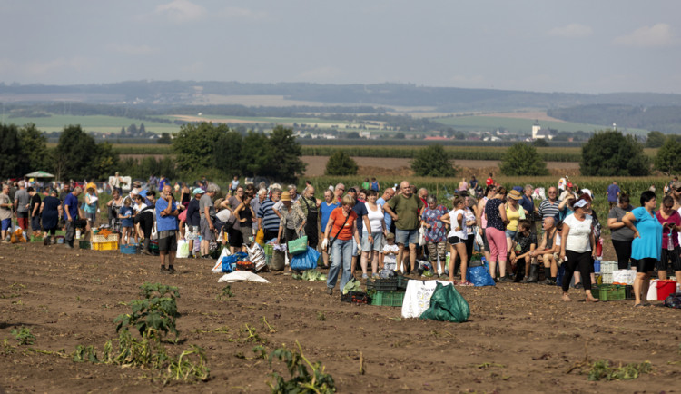 FOTOGALERIE: Samosběr ve Vojnicích lákal davy. Dopravu musela řídit policie